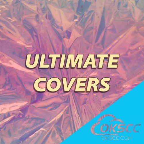 关于Various Artists - Ultimate Covers (2022) Mp3 320kbps的更多信息