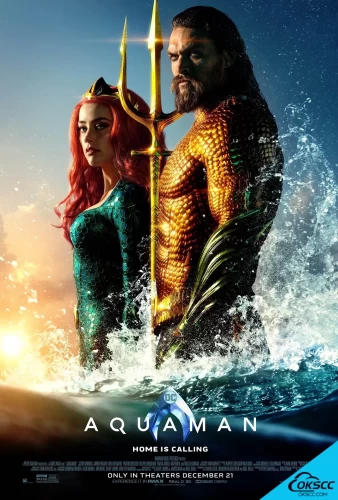 关于海王 Aquaman (2018)的更多信息