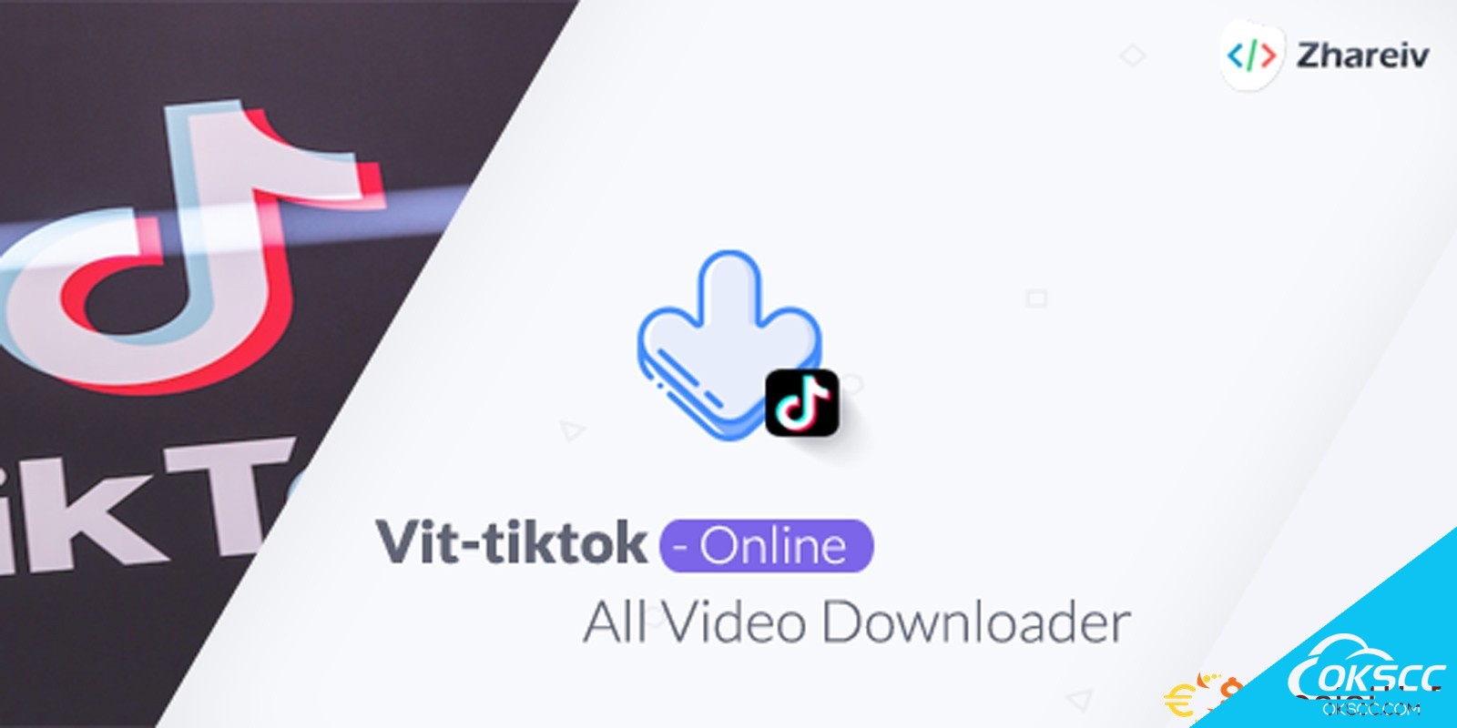 vit-TikToki - TikTok视频下载器