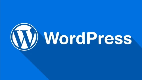 关于WordPress 官方中文正式版的更多信息