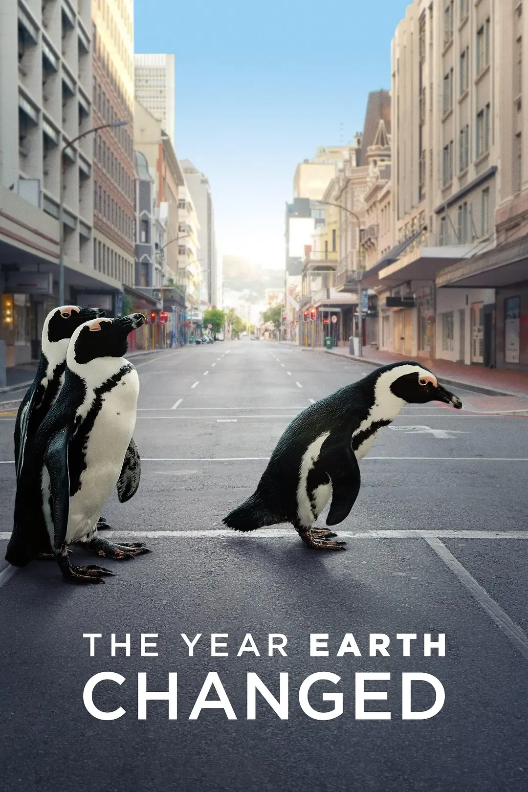 地球改变之年 The Year Earth Changed (2021)