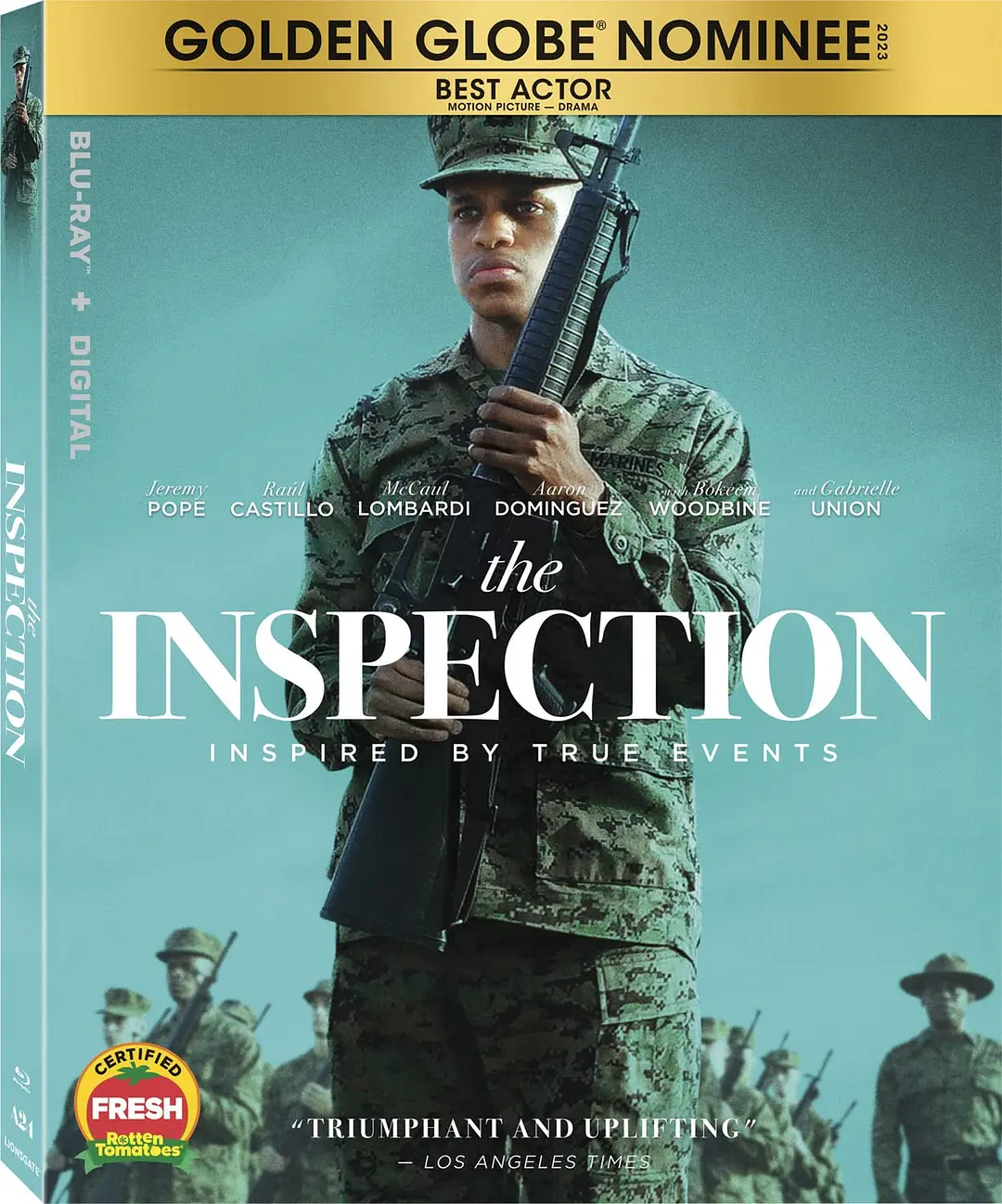 检阅日 The Inspection (2022)