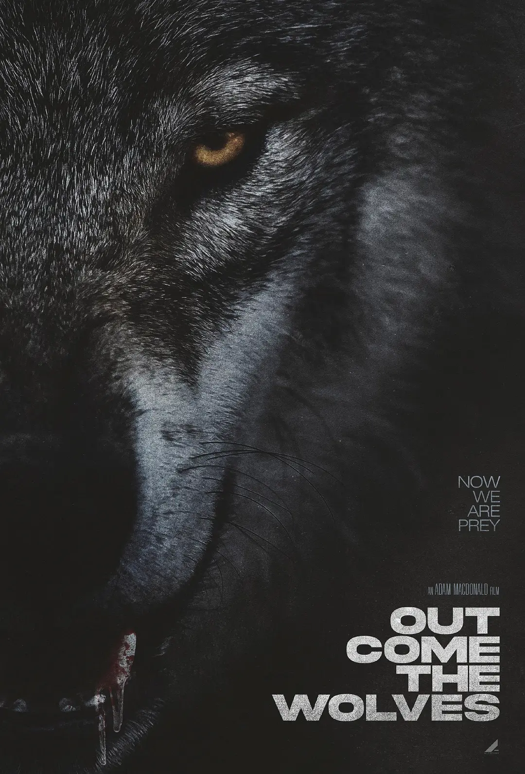 狼群出动 Out Come the Wolves (2024)