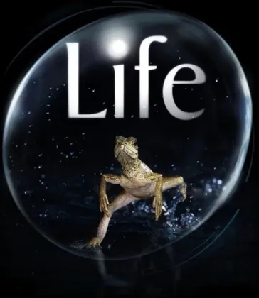 原盘】生命 / 生命脉动 (2009) 国粤英多音轨 特效字幕