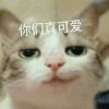 liangvvcc